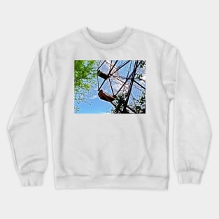 Trapped Crewneck Sweatshirt